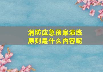 消防应急预案演练原则是什么内容呢