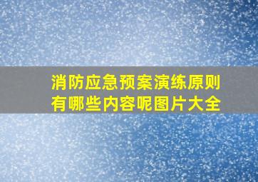 消防应急预案演练原则有哪些内容呢图片大全