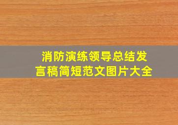 消防演练领导总结发言稿简短范文图片大全