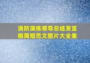 消防演练领导总结发言稿简短范文图片大全集