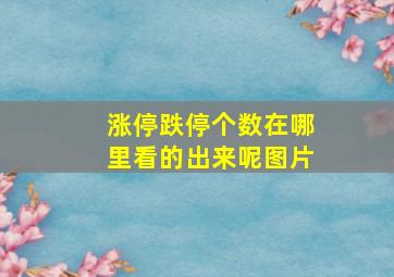 涨停跌停个数在哪里看的出来呢图片