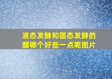 液态发酵和固态发酵的醋哪个好些一点呢图片