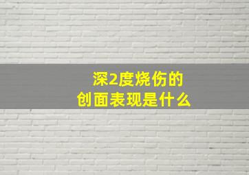 深2度烧伤的创面表现是什么