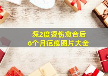 深2度烫伤愈合后6个月疤痕图片大全