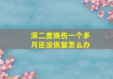 深二度烧伤一个多月还没恢复怎么办