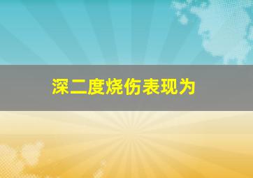 深二度烧伤表现为