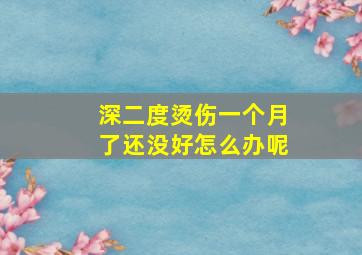 深二度烫伤一个月了还没好怎么办呢