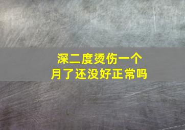 深二度烫伤一个月了还没好正常吗