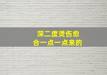 深二度烫伤愈合一点一点来的