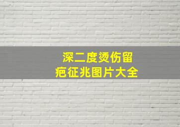 深二度烫伤留疤征兆图片大全