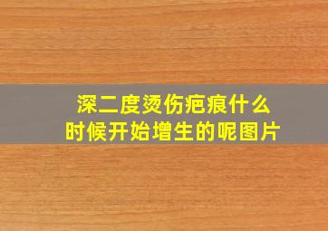 深二度烫伤疤痕什么时候开始增生的呢图片