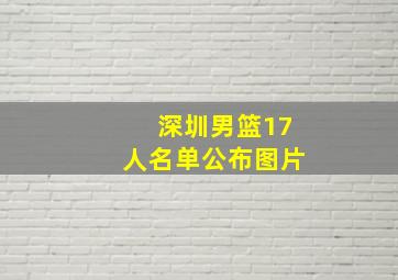 深圳男篮17人名单公布图片