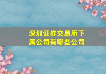 深圳证券交易所下属公司有哪些公司