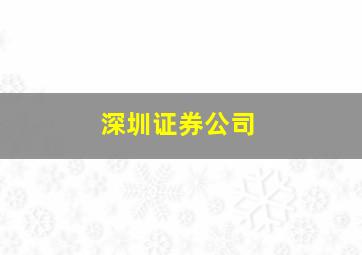 深圳证券公司