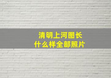 清明上河图长什么样全部照片