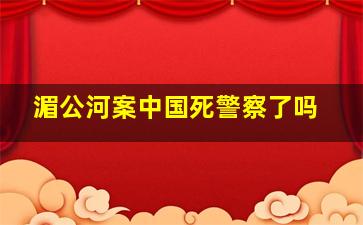 湄公河案中国死警察了吗