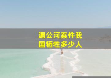 湄公河案件我国牺牲多少人