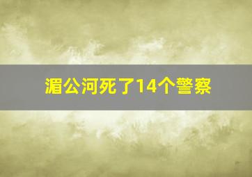 湄公河死了14个警察