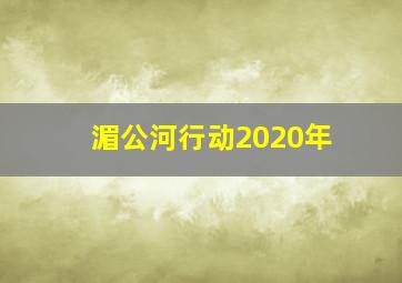 湄公河行动2020年