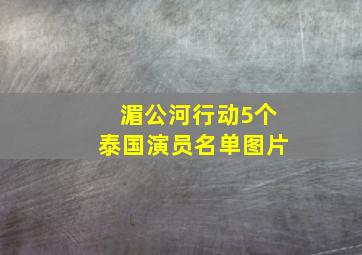 湄公河行动5个泰国演员名单图片