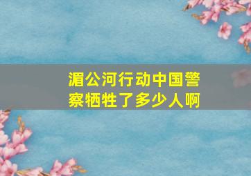 湄公河行动中国警察牺牲了多少人啊