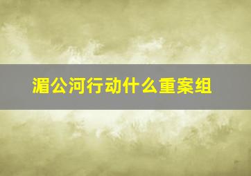 湄公河行动什么重案组