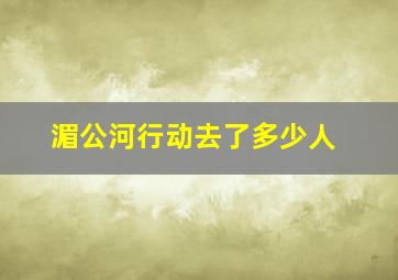 湄公河行动去了多少人