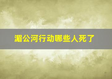 湄公河行动哪些人死了