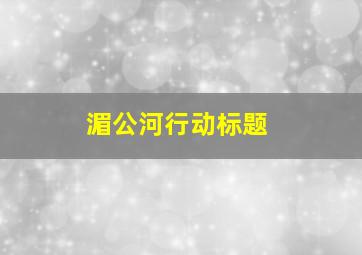 湄公河行动标题