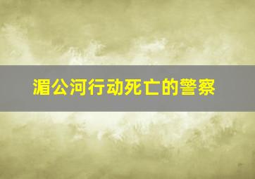 湄公河行动死亡的警察