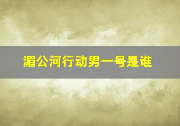 湄公河行动男一号是谁