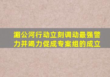 湄公河行动立刻调动最强警力并竭力促成专案组的成立