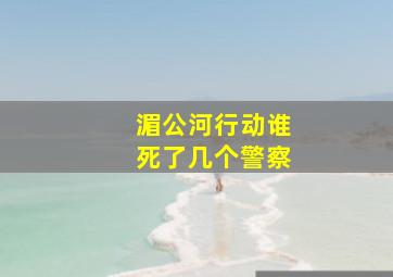 湄公河行动谁死了几个警察