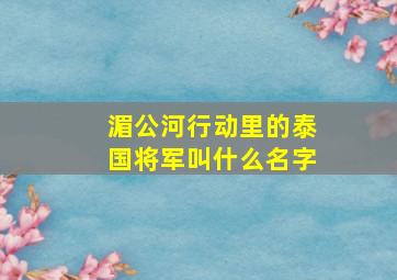 湄公河行动里的泰国将军叫什么名字