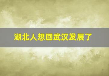 湖北人想回武汉发展了