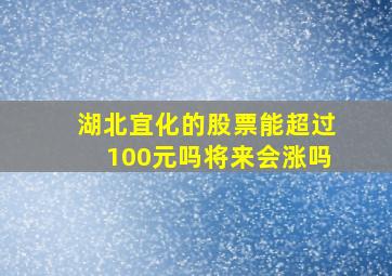 湖北宜化的股票能超过100元吗将来会涨吗