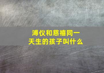 溥仪和慈禧同一天生的孩子叫什么