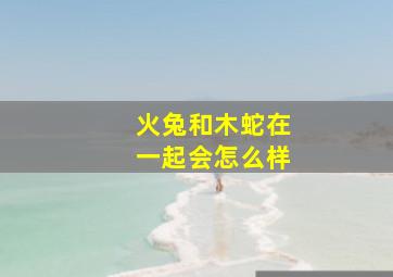 火兔和木蛇在一起会怎么样