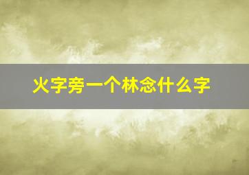 火字旁一个林念什么字