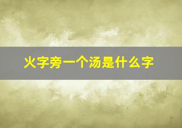 火字旁一个汤是什么字