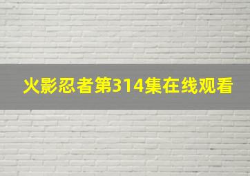 火影忍者第314集在线观看