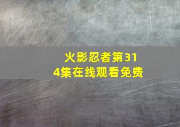 火影忍者第314集在线观看免费