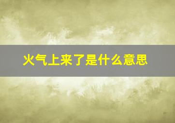 火气上来了是什么意思