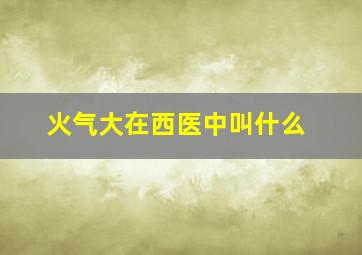 火气大在西医中叫什么