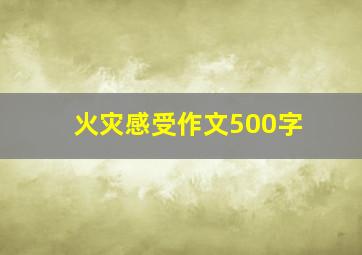 火灾感受作文500字