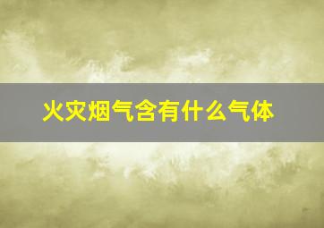 火灾烟气含有什么气体