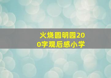 火烧圆明园200字观后感小学