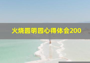 火烧圆明园心得体会200