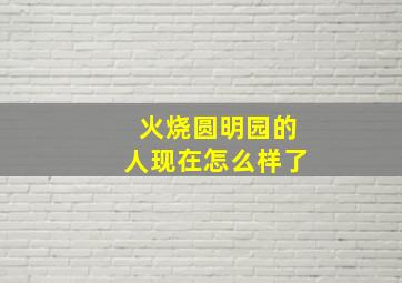 火烧圆明园的人现在怎么样了