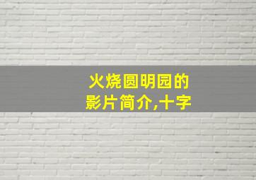 火烧圆明园的影片简介,十字